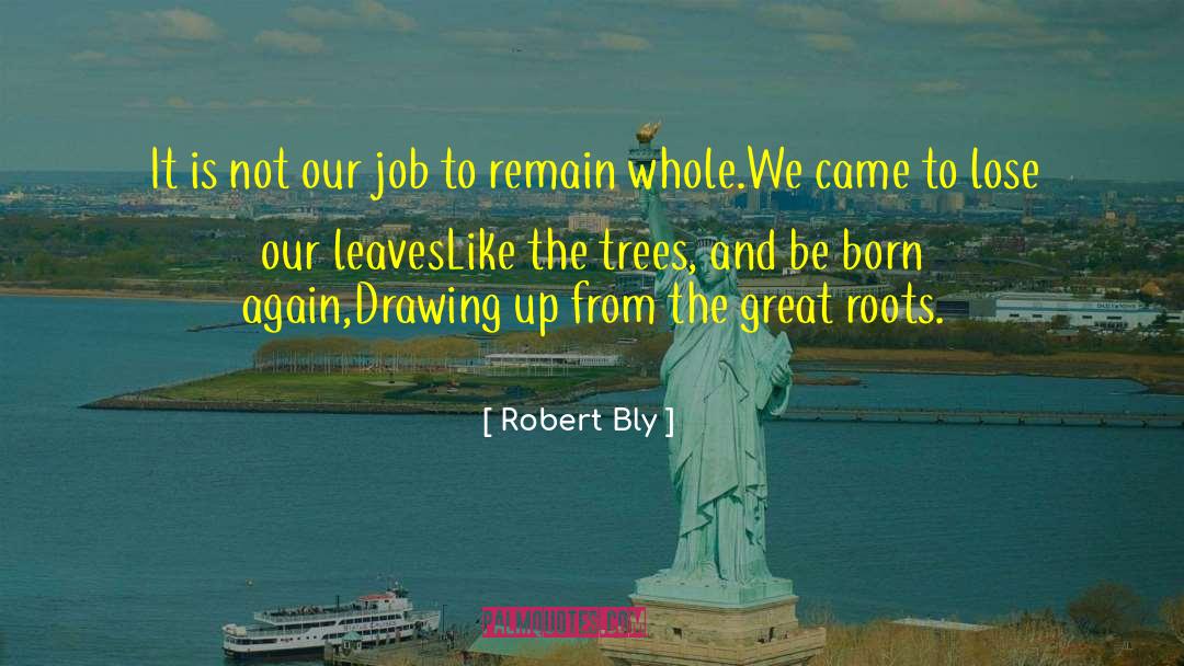 Robert Bly Quotes: It is not our job