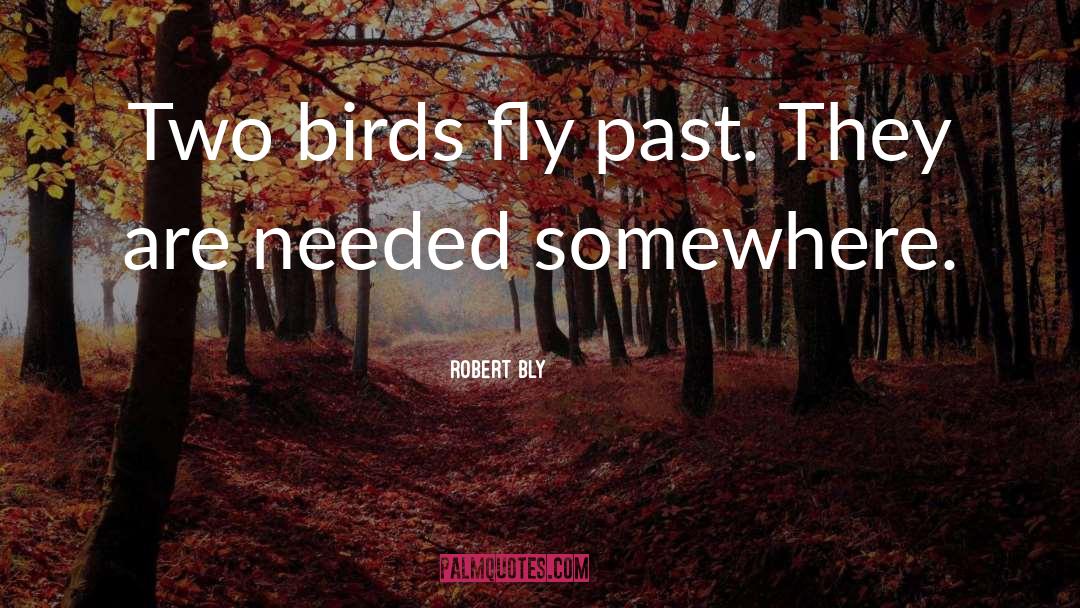 Robert Bly Quotes: Two birds fly past. They