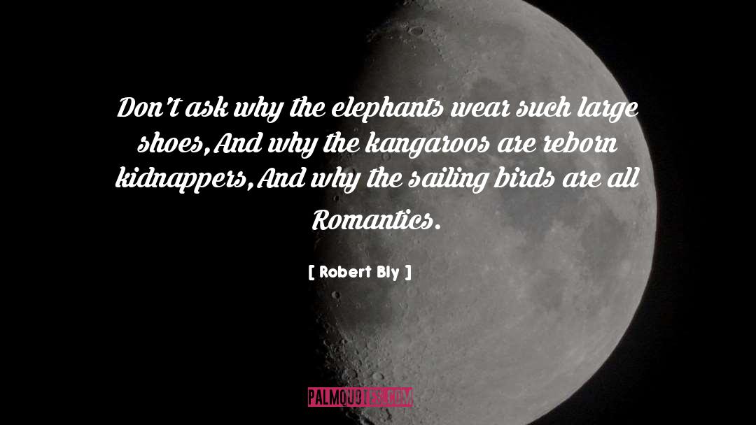 Robert Bly Quotes: Don't ask why the elephants