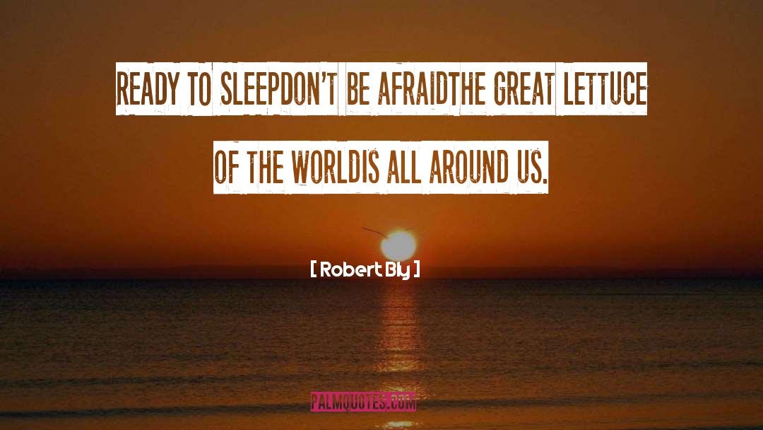 Robert Bly Quotes: READY TO SLEEP<br>Don't be afraid<br>The