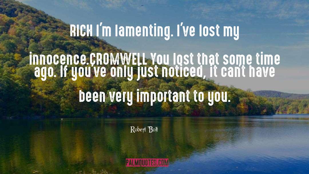 Robert Bolt Quotes: RICH I'm lamenting. I've lost