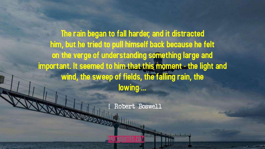 Robert Boswell Quotes: The rain began to fall