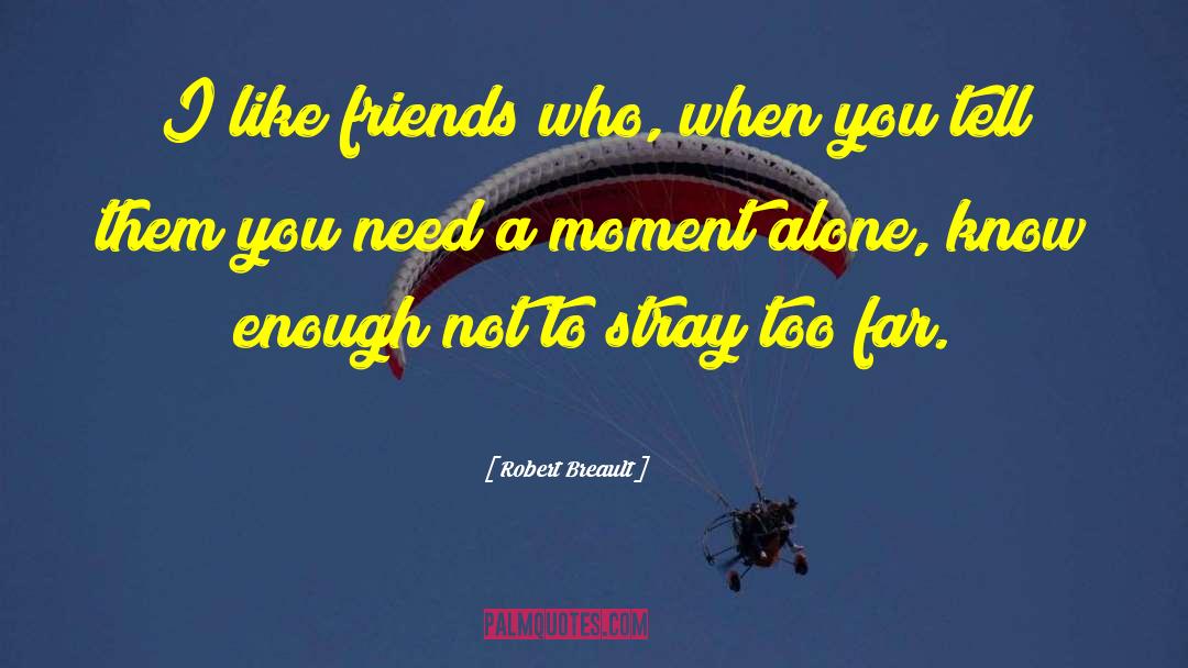 Robert Breault Quotes: I like friends who, when