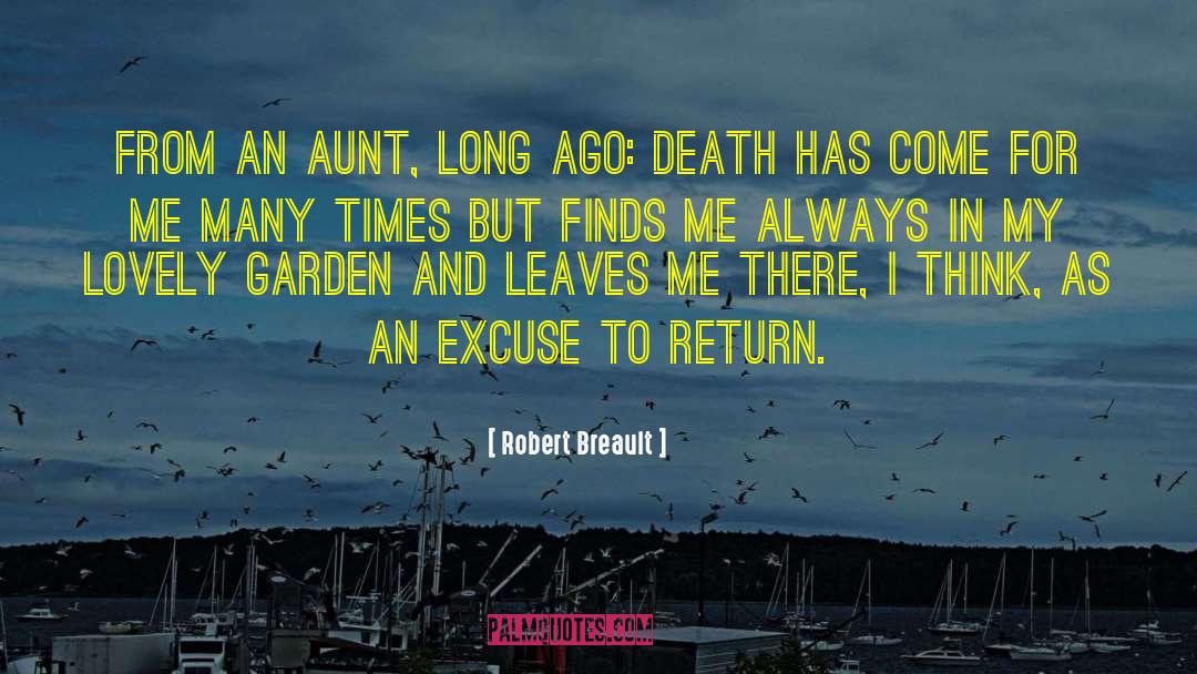 Robert Breault Quotes: From an aunt, long ago: