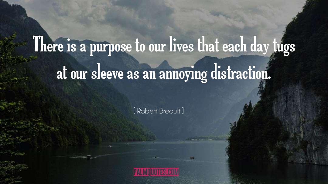 Robert Breault Quotes: There is a purpose to