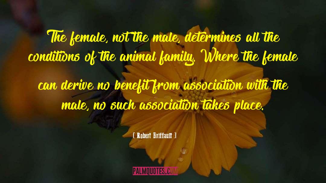 Robert Briffault Quotes: The female, not the male,