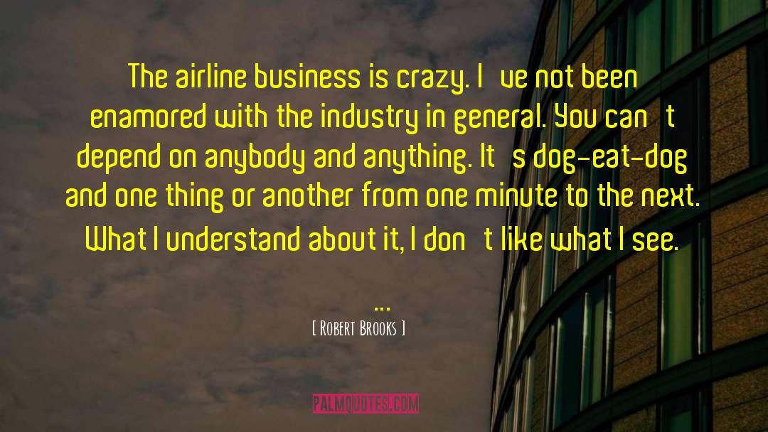 Robert Brooks Quotes: The airline business is crazy.