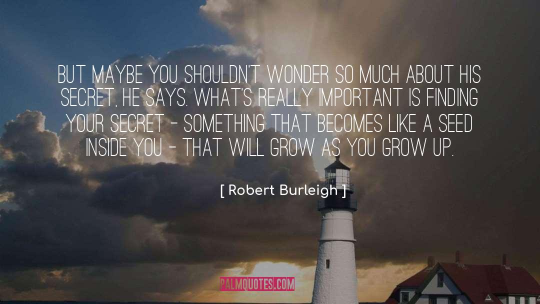 Robert Burleigh Quotes: But maybe you shouldn't wonder