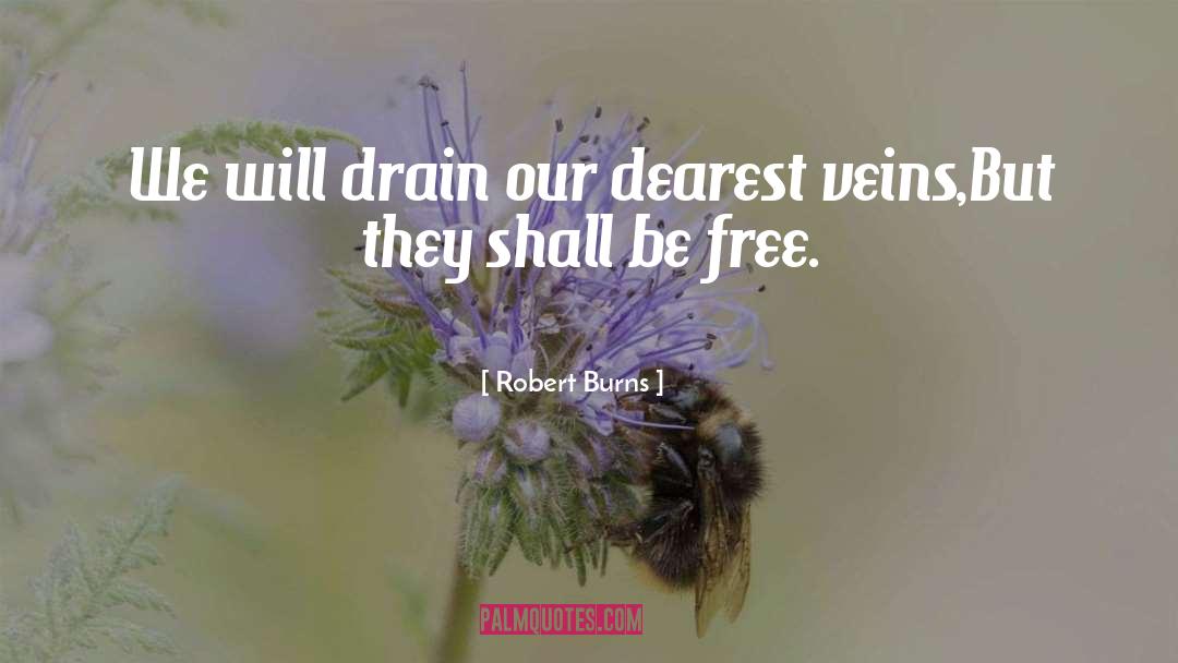 Robert Burns Quotes: We will drain our dearest