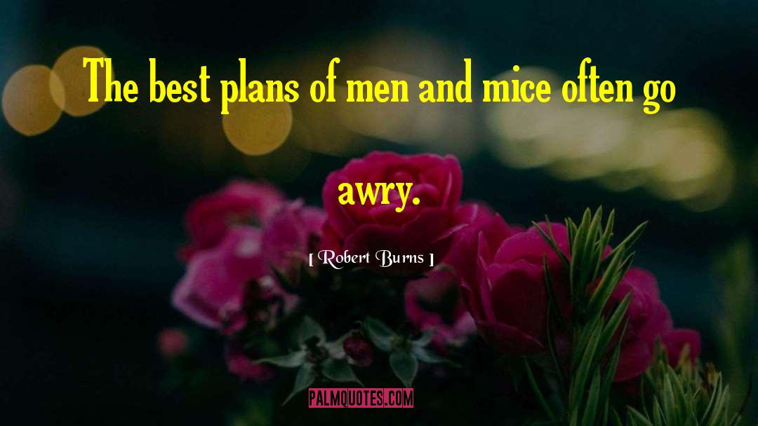 Robert Burns Quotes: The best plans of men