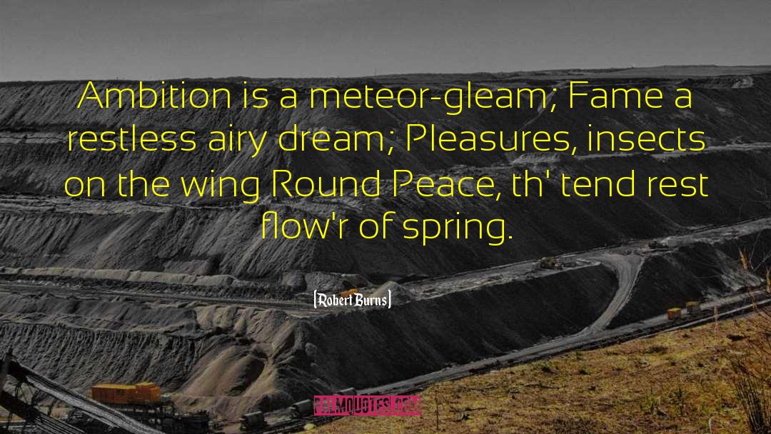 Robert Burns Quotes: Ambition is a meteor-gleam; Fame