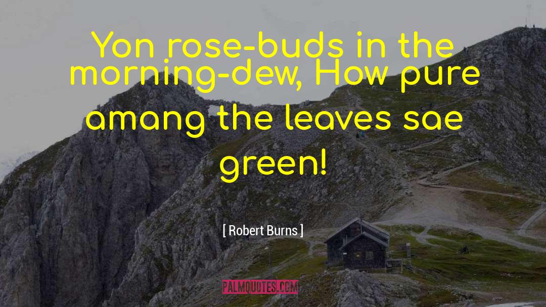 Robert Burns Quotes: Yon rose-buds in the morning-dew,