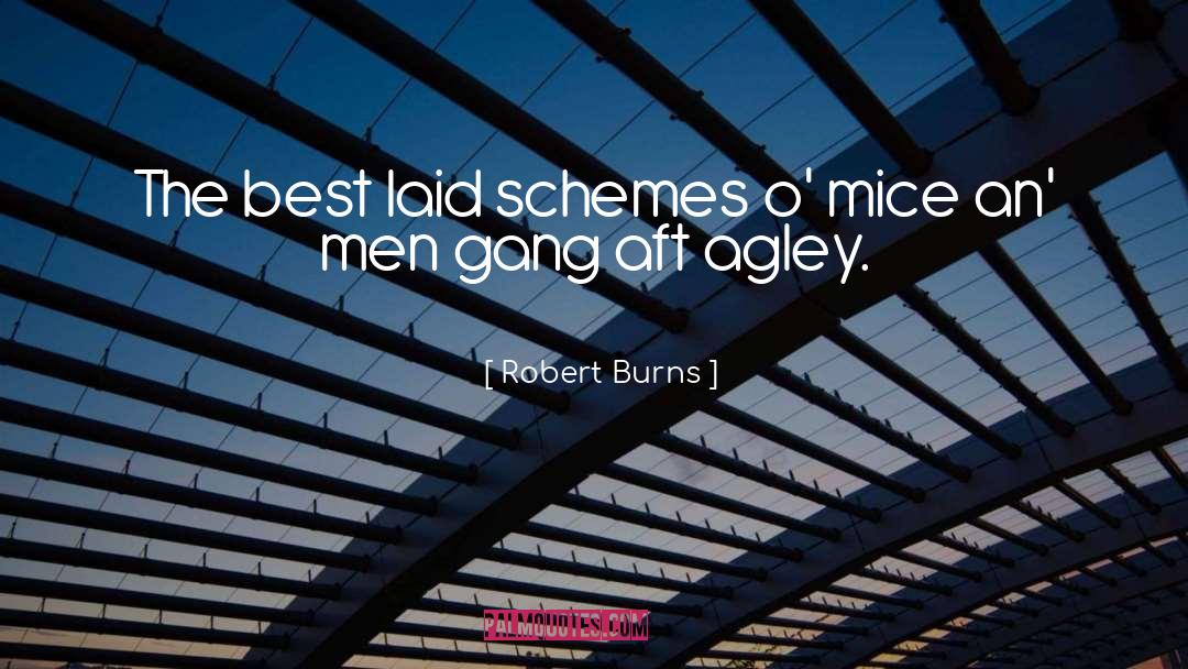 Robert Burns Quotes: The best laid schemes o'