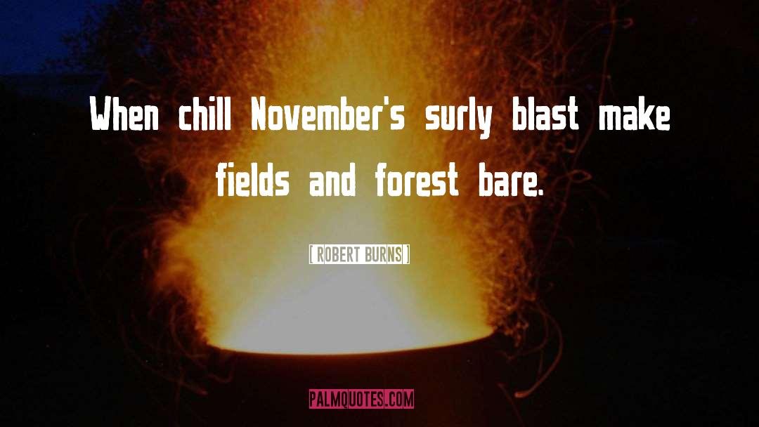 Robert Burns Quotes: When chill November's surly blast