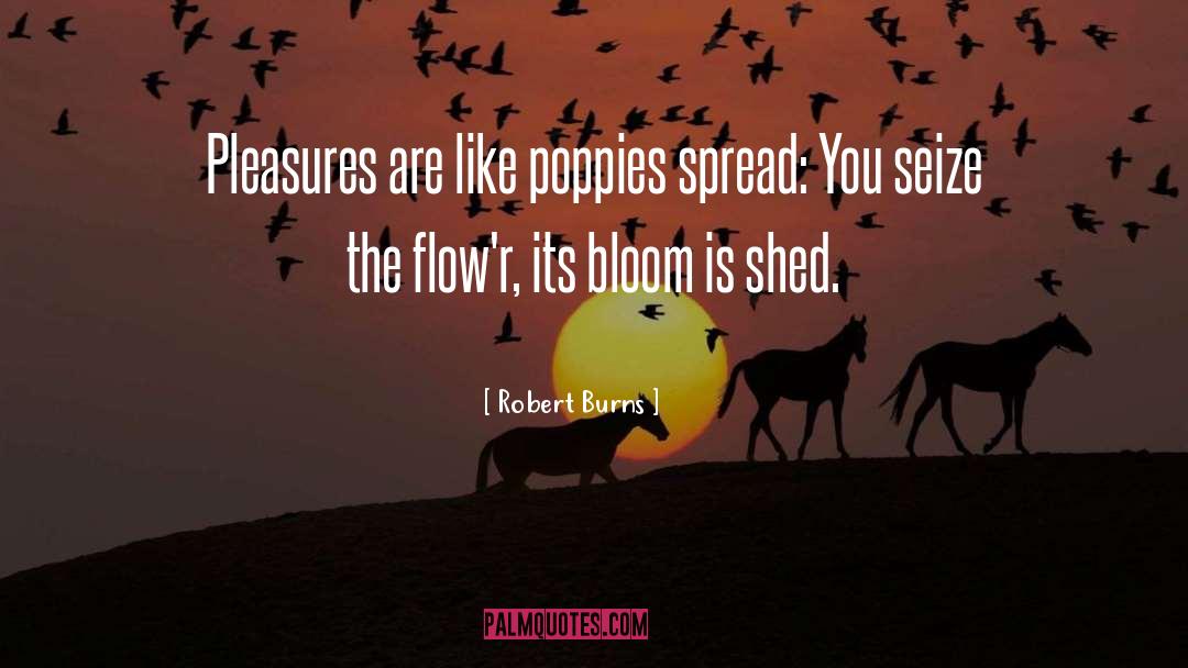 Robert Burns Quotes: Pleasures are like poppies spread: