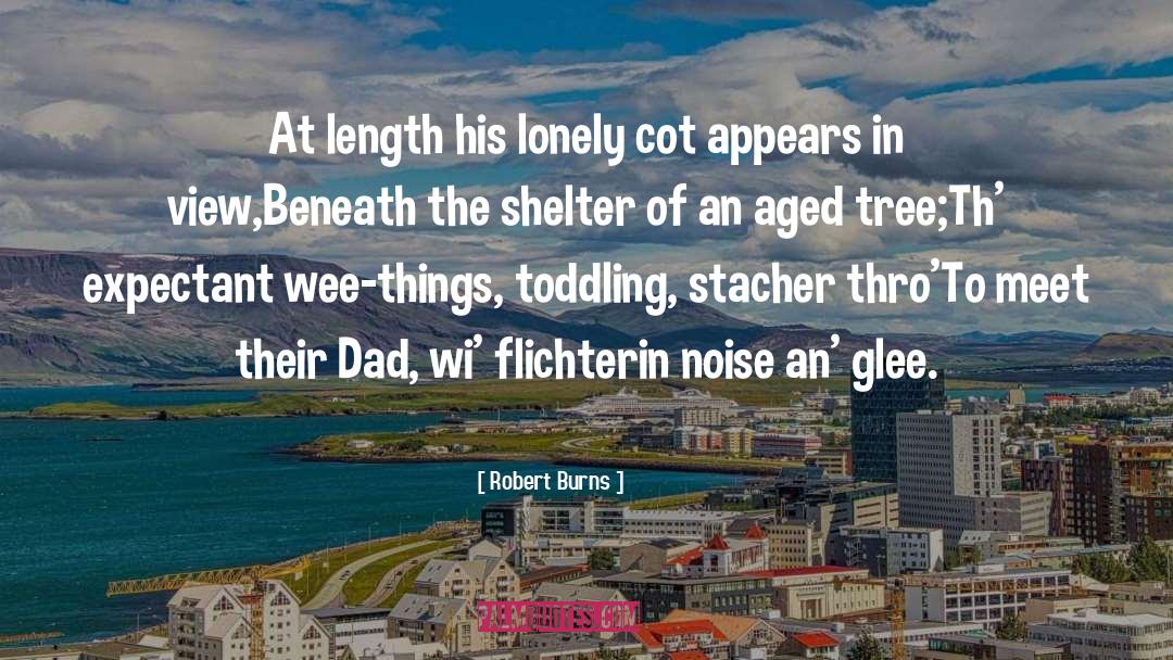 Robert Burns Quotes: At length his lonely cot