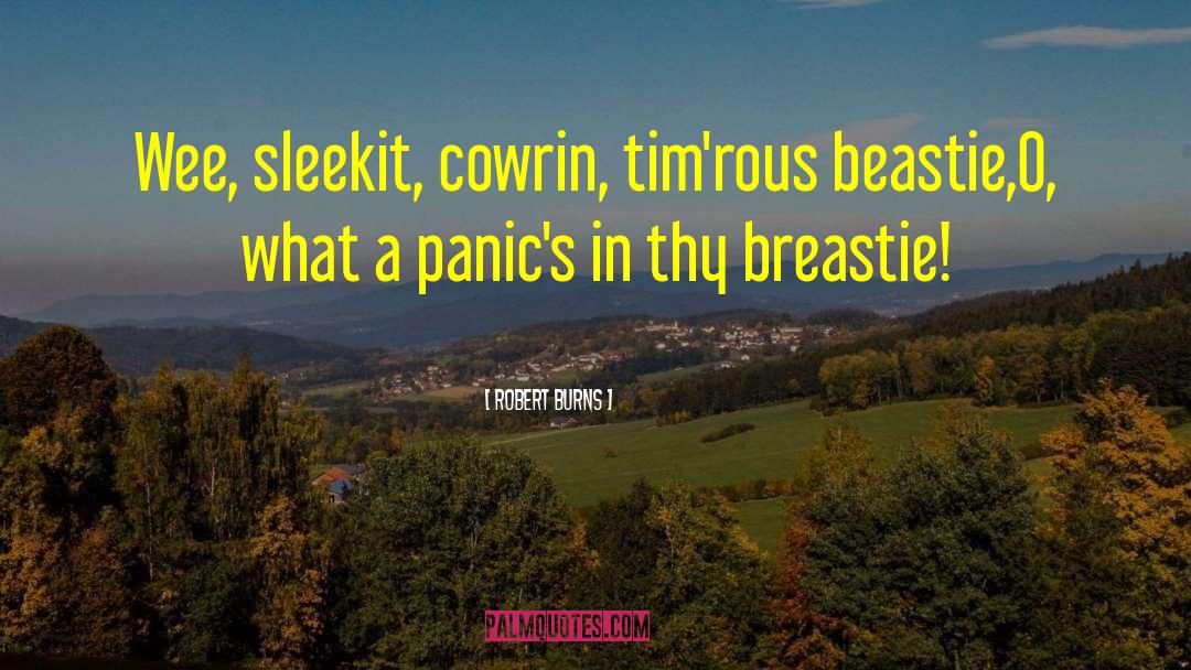 Robert Burns Quotes: Wee, sleekit, cowrin, tim'rous beastie,<br>O,