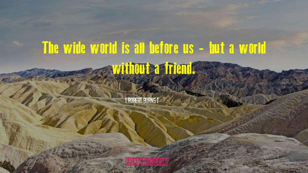 Robert Burns Quotes: The wide world is all
