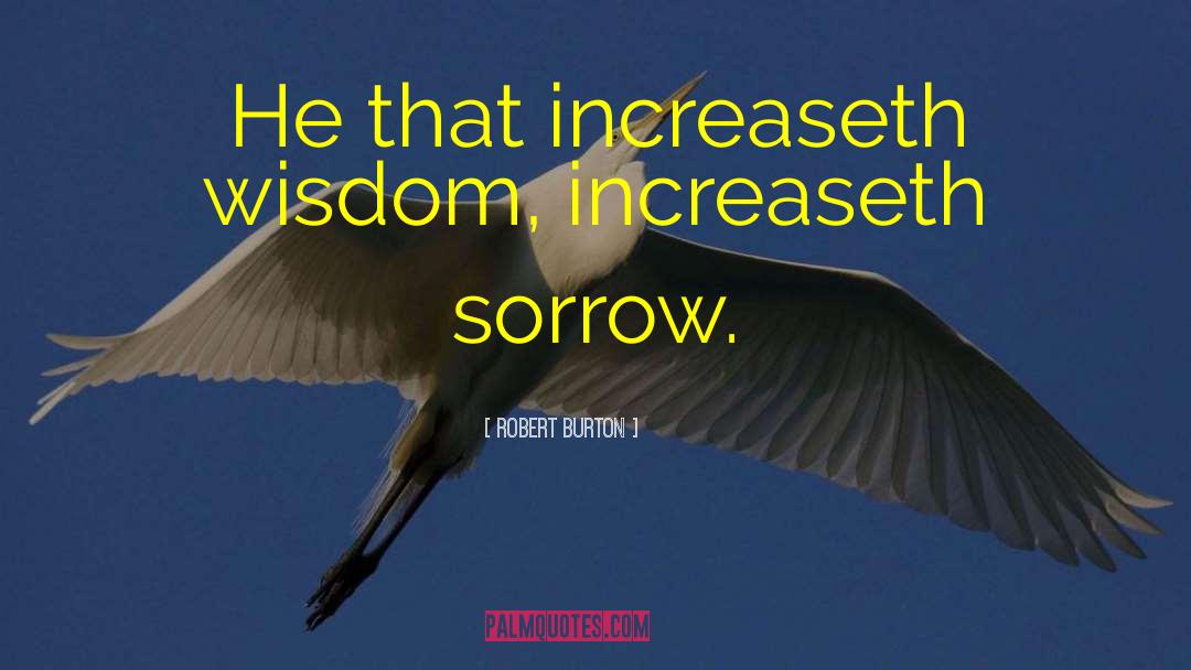Robert Burton Quotes: He that increaseth wisdom, increaseth