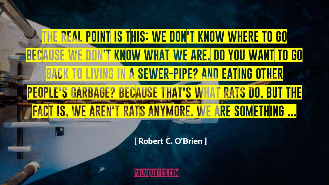 Robert C. O'Brien Quotes: The real point is this: