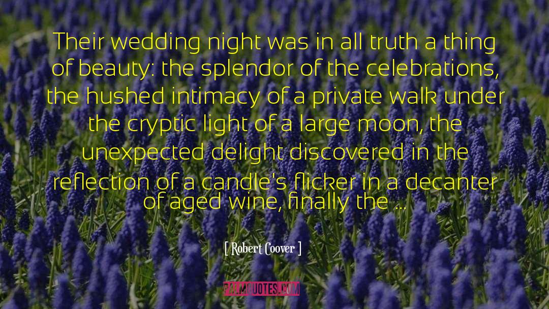 Robert Coover Quotes: Their wedding night was in