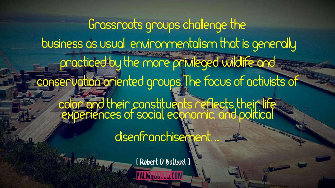 Robert D Bullard Quotes: Grassroots groups challenge the 