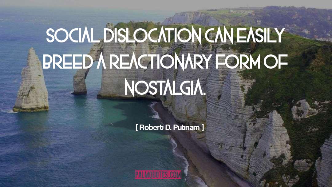 Robert D. Putnam Quotes: Social dislocation can easily breed