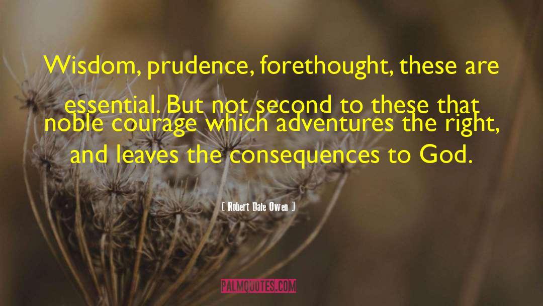 Robert Dale Owen Quotes: Wisdom, prudence, forethought, these are