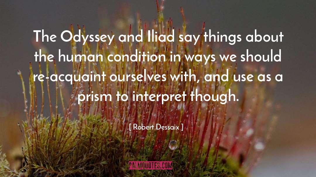 Robert Dessaix Quotes: The Odyssey and Iliad say