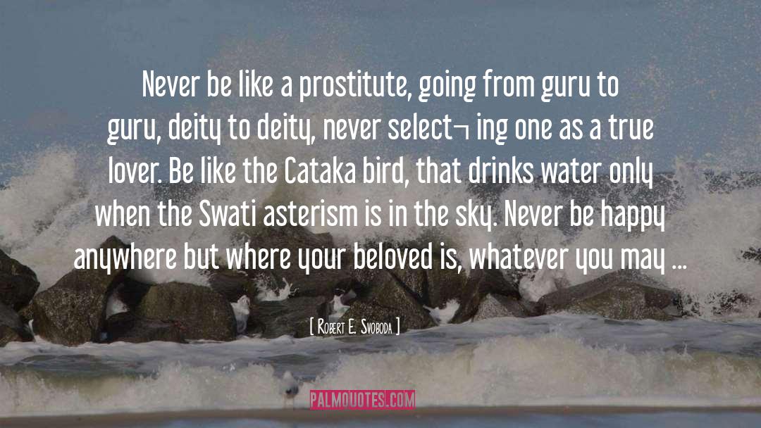 Robert E. Svoboda Quotes: Never be like a prostitute,