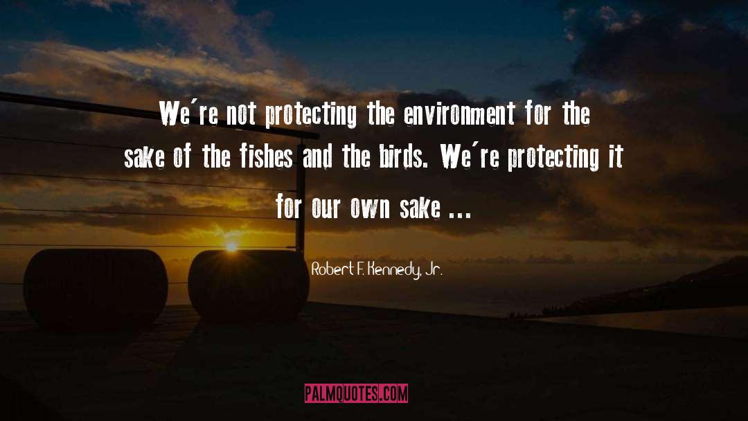 Robert F. Kennedy, Jr. Quotes: We're not protecting the environment
