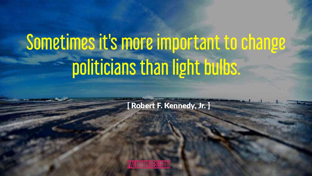 Robert F. Kennedy, Jr. Quotes: Sometimes it's more important to