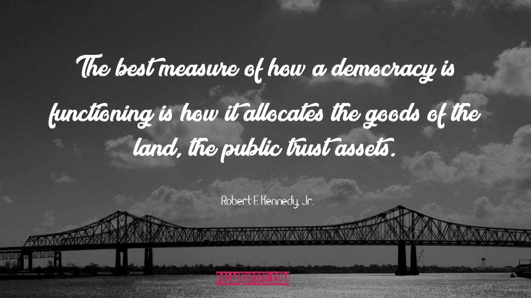 Robert F. Kennedy, Jr. Quotes: The best measure of how