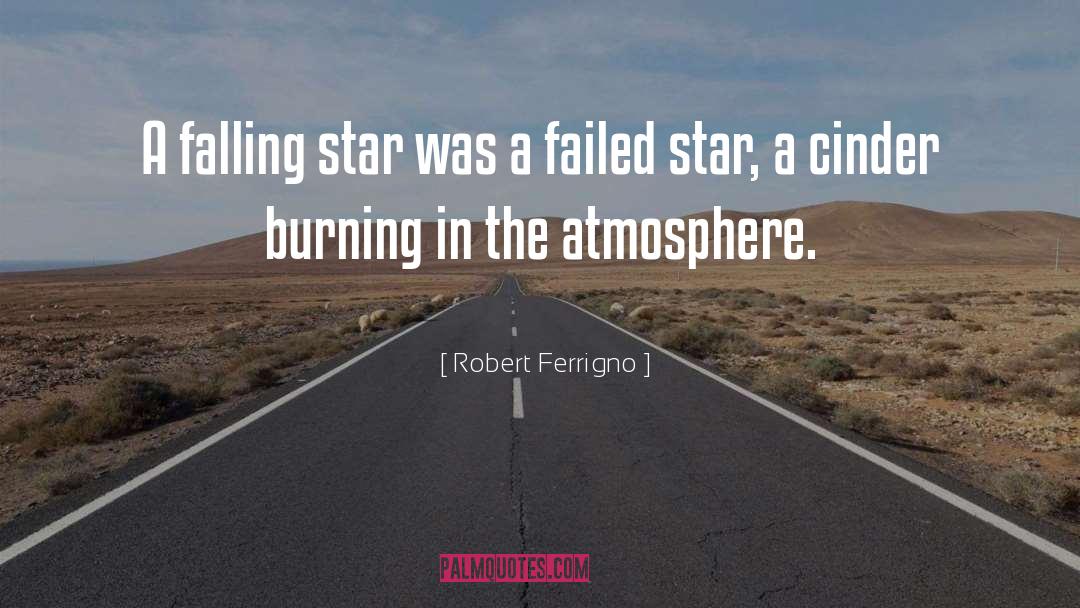 Robert Ferrigno Quotes: A falling star was a