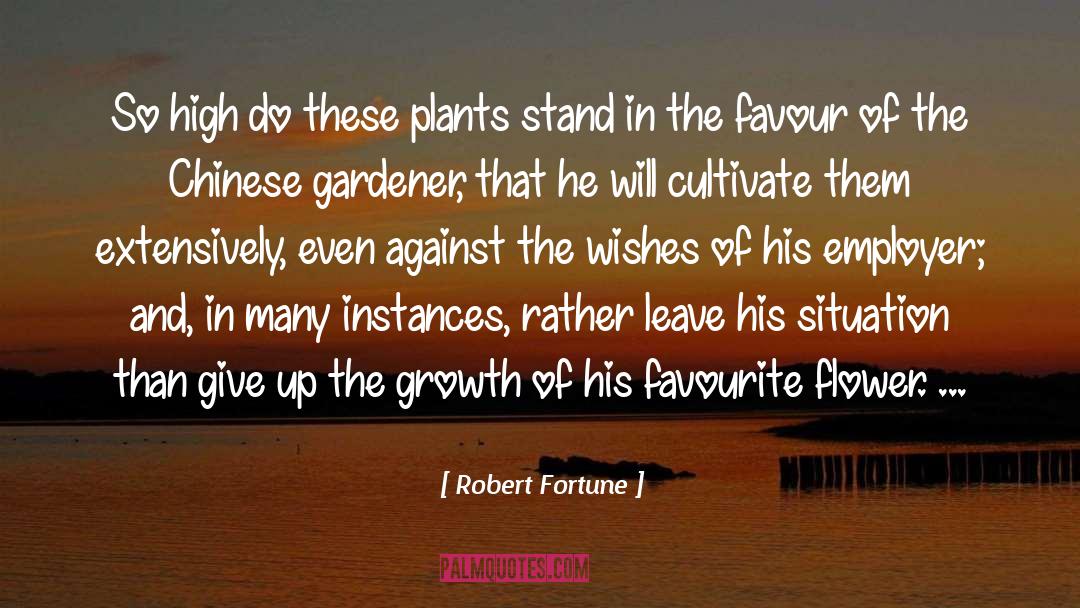 Robert Fortune Quotes: So high do these plants