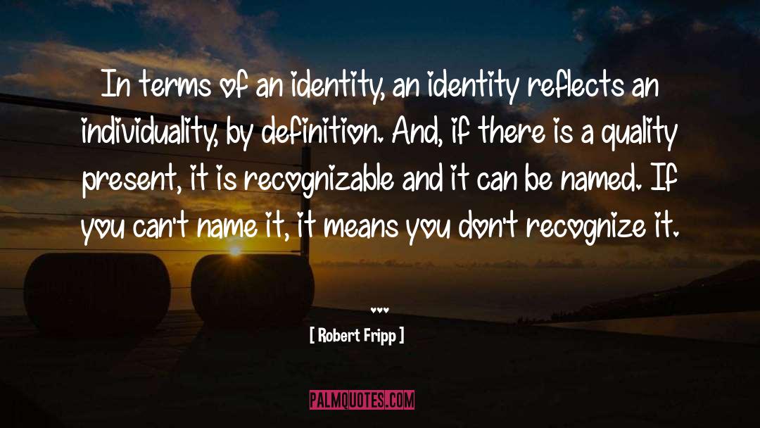 Robert Fripp Quotes: In terms of an identity,