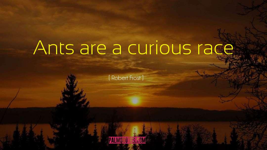 Robert Frost Quotes: Ants are a curious race