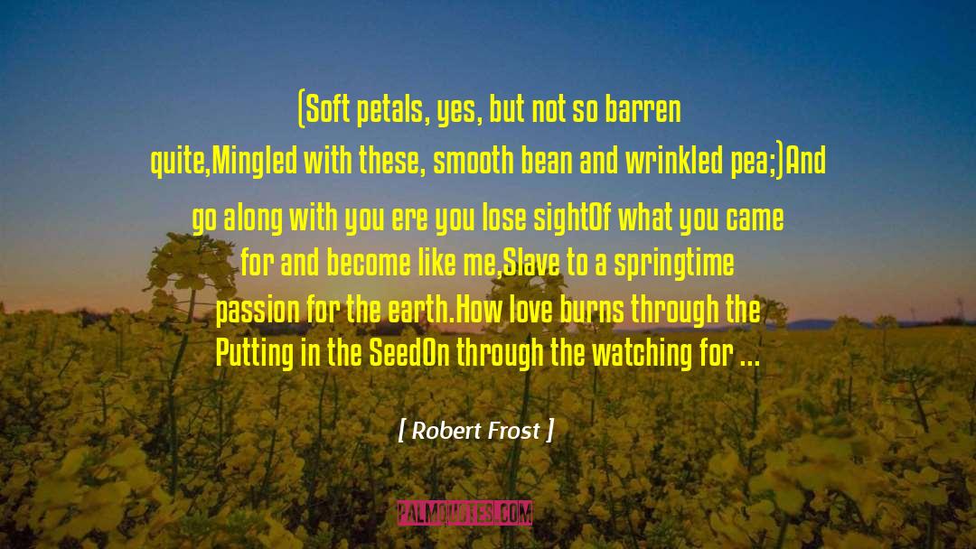 Robert Frost Quotes: (Soft petals, yes, but not