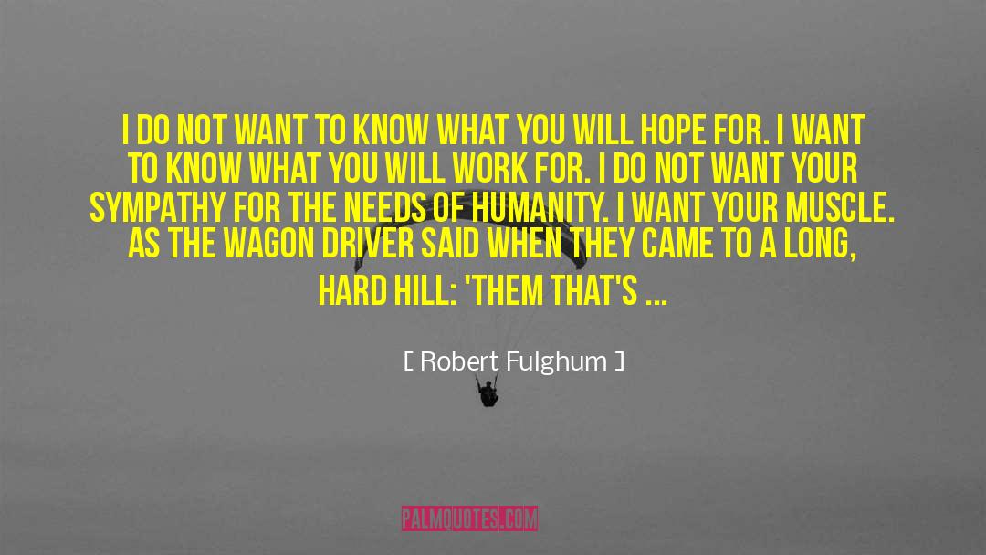 Robert Fulghum Quotes: I do not want to