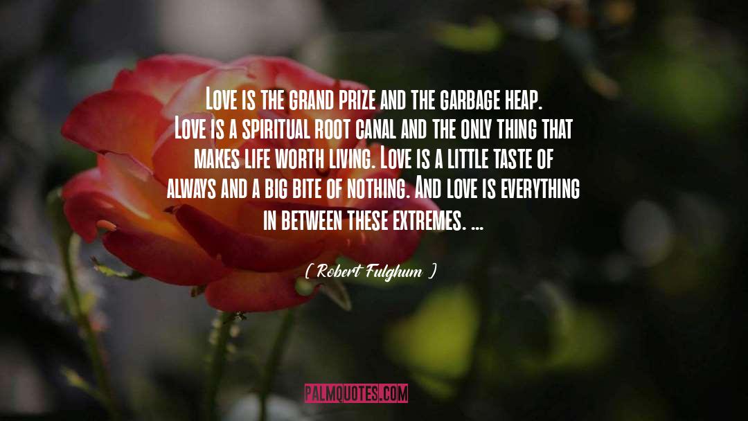 Robert Fulghum Quotes: Love is the grand prize