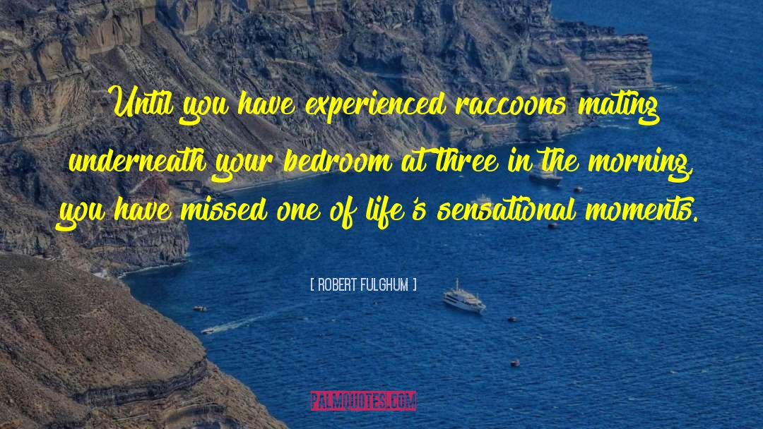 Robert Fulghum Quotes: Until you have experienced raccoons