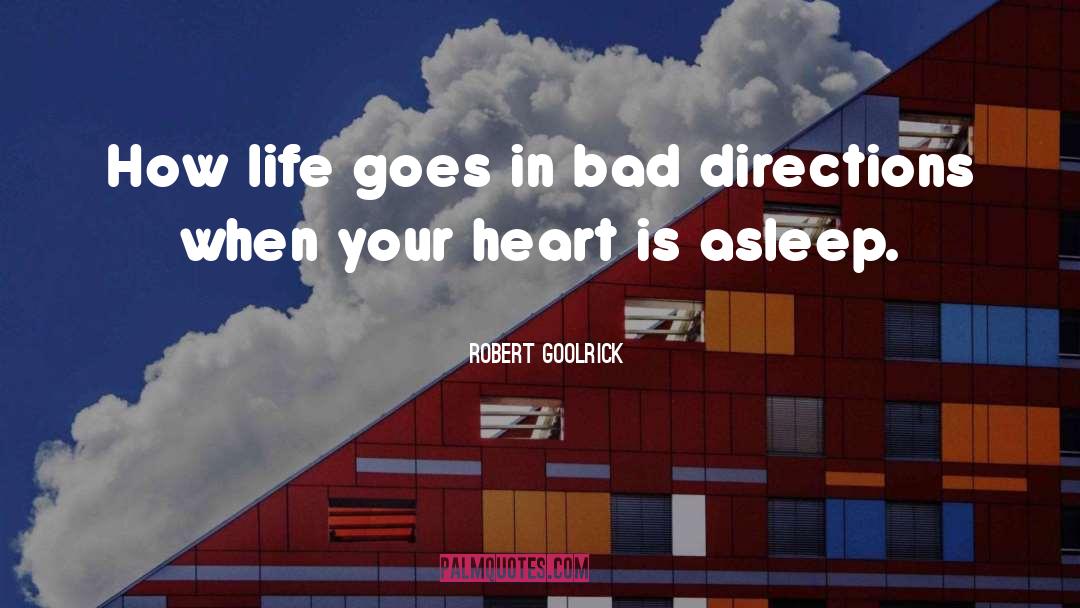 Robert Goolrick Quotes: How life goes in bad