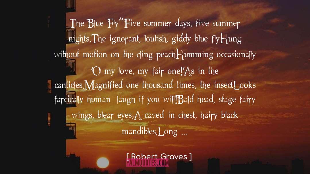 Robert Graves Quotes: The Blue Fly