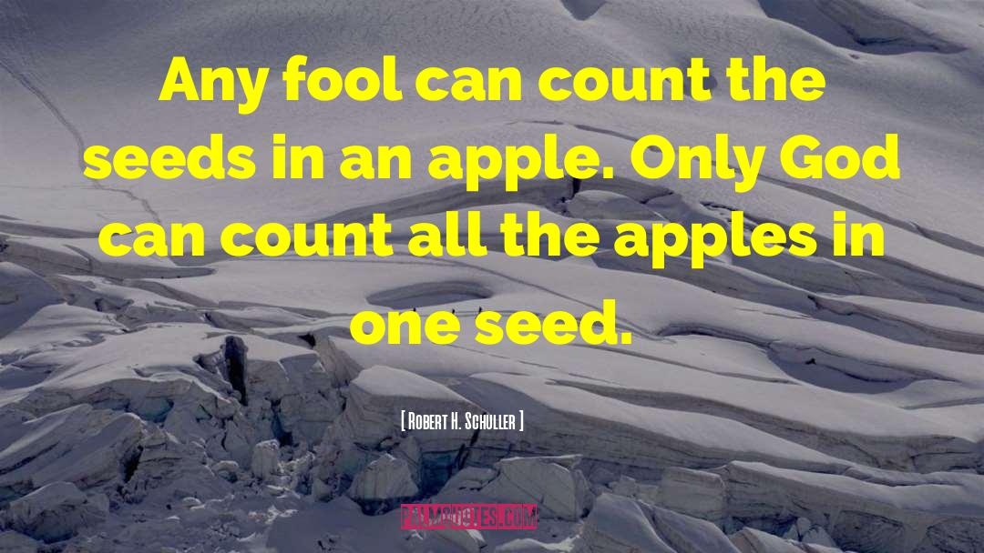 Robert H. Schuller Quotes: Any fool can count the