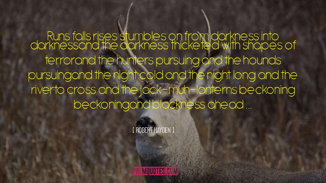 Robert Hayden Quotes: Runs falls rises stumbles on