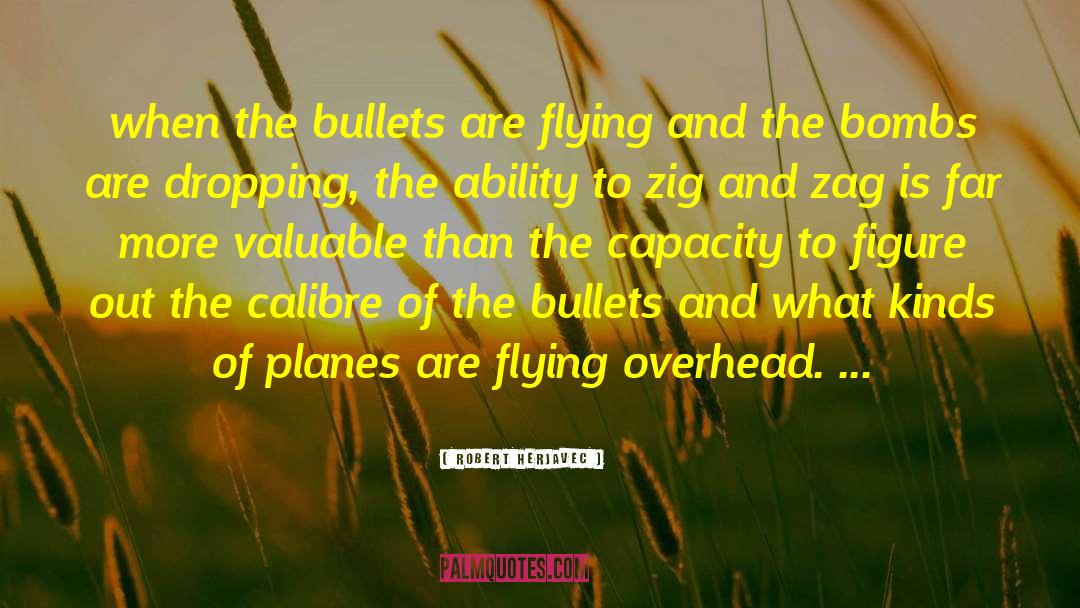 Robert Herjavec Quotes: when the bullets are flying