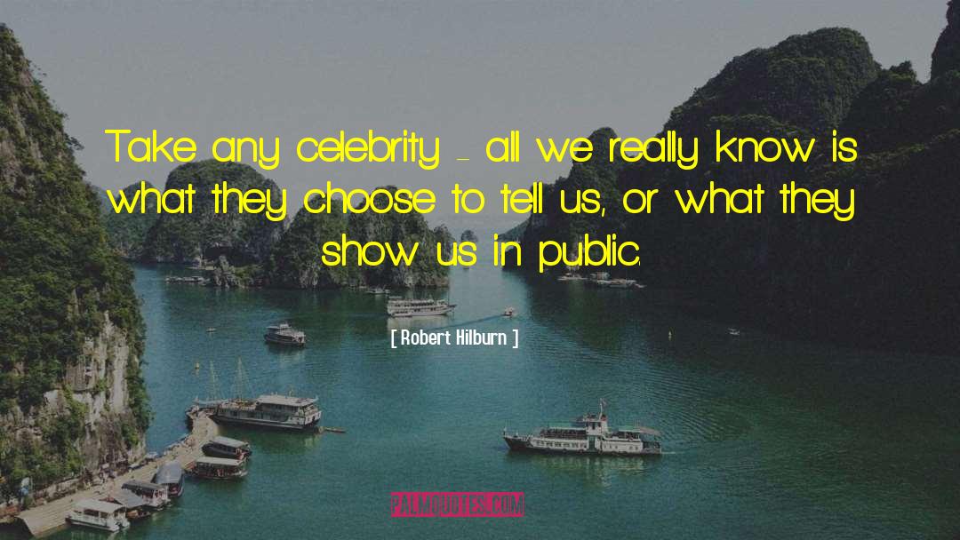 Robert Hilburn Quotes: Take any celebrity - all