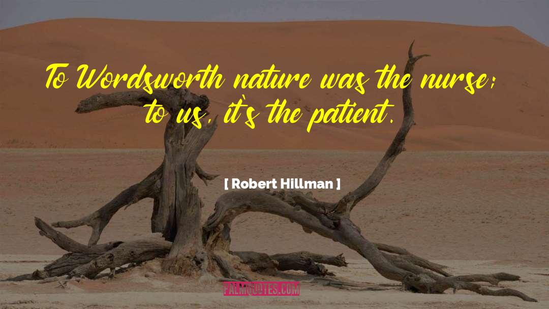 Robert Hillman Quotes: To Wordsworth nature was the