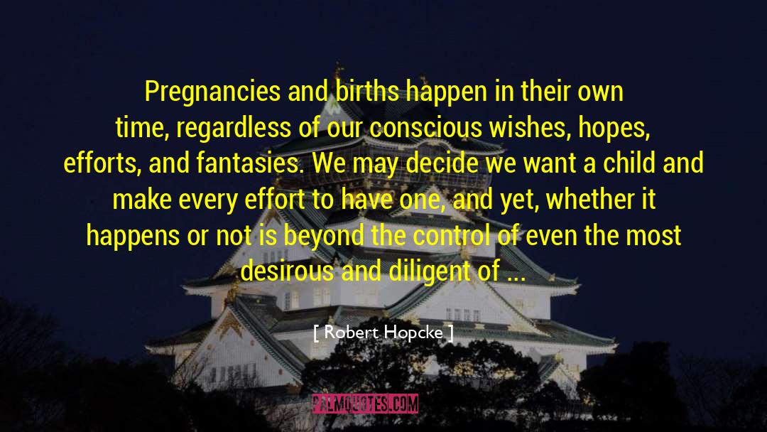 Robert Hopcke Quotes: Pregnancies and births happen in