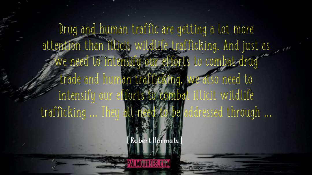 Robert Hormats Quotes: Drug and human traffic are